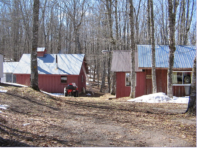 
        
        
        Image 1: <i>Cabane à sucre</i>, Nova Scotia. Source: Wikimedia Commons. Photo: Oven Fresh                  