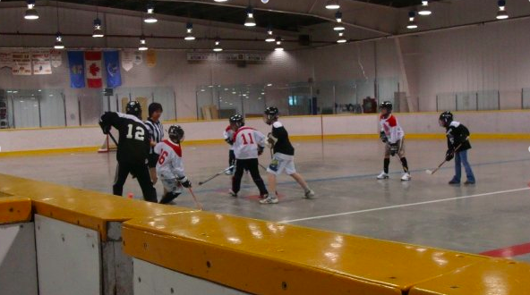 
        Image 1: <i>Ball hockey</i>, the "Raptors". Source: Wikimedia Commons. Photo: CanuckSniper 12      