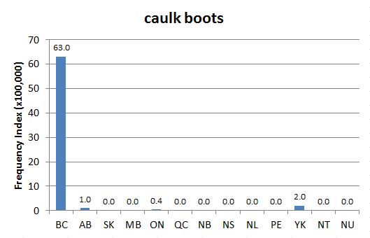 
        
        Chart 2: Regional Domain Search, 13 Mar. 2014   ("cork boot" was not feasibly searchable)               