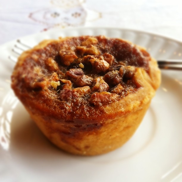 
        
        
        Image 1: A <i>butter tart</i> with pecans. Source: Wikimedia Commons. Photo: H. Watanabe                 