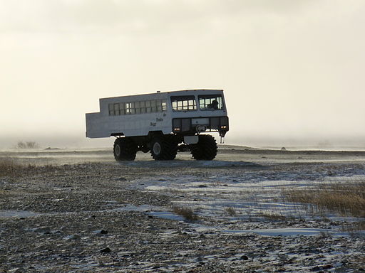 
        Image 1: A <i>Tundra Buggy</i> in Churchill, MB. Source: Wikimedia Commons. Photo: I. Stewart      