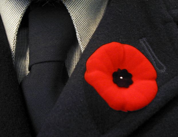 
        
        Image 1: A <i>poppy</i> pinned to a lapel. Source: Wikimedia Commons. Photo: hobvias sudoneighm             