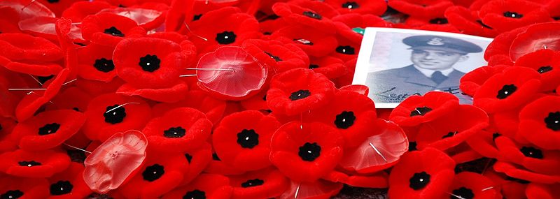 
        
        
        
        Image 1: Pins commemorating <i>Poppy Day</i>. (Source: Wikimedia Commons. Photo: B. Aubry)                        