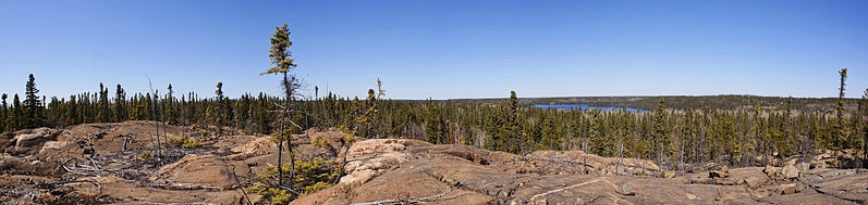 
        Image 1: Stretch of land on the <i>Precambrian Shield</i> or <i>Canadian Shield</i>; area of the Flin Flon, Manitoba, with Big Island Lake in the background. (Source: Wikimedia Commons. Photo: Green slash)      