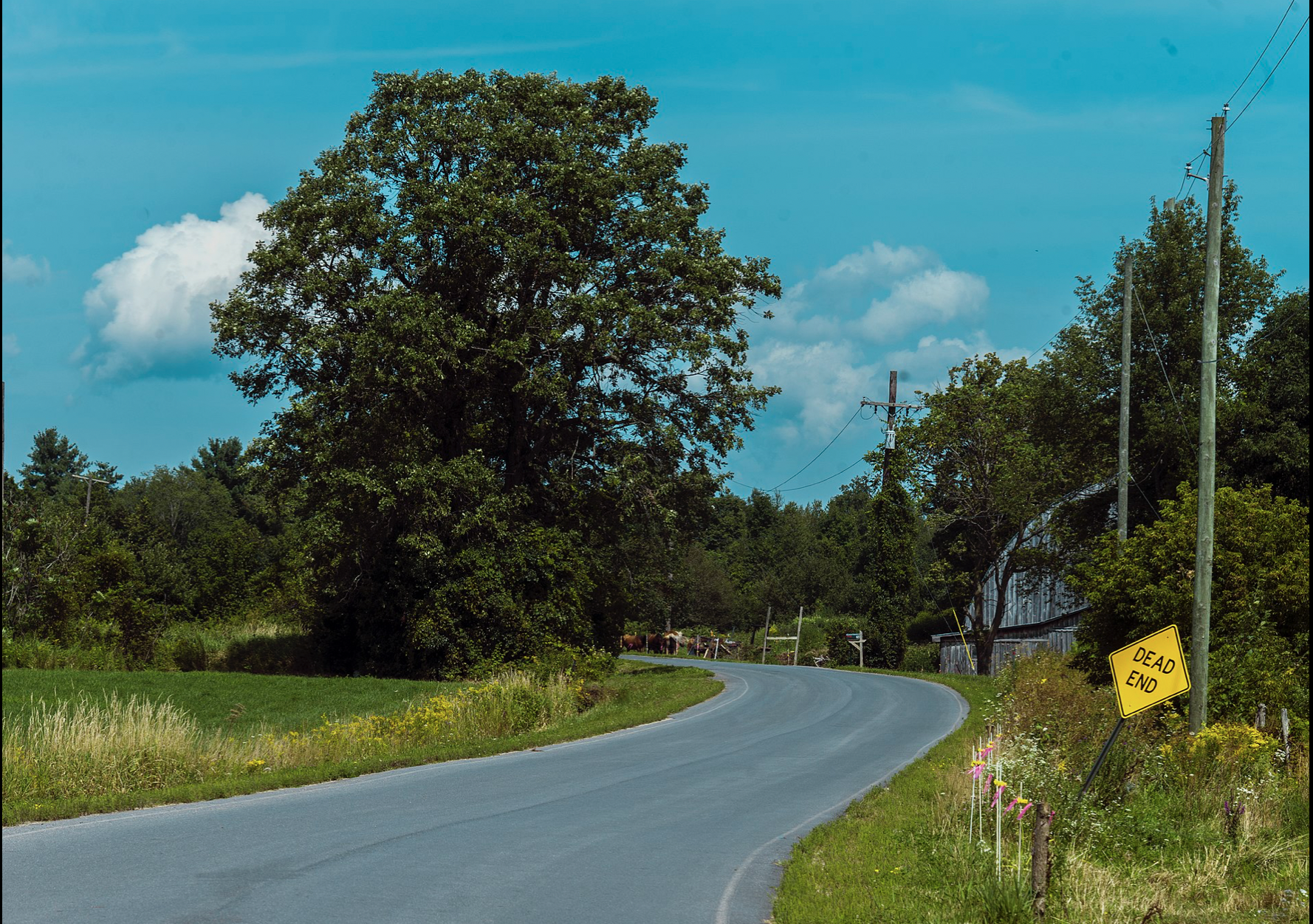 Image 3: Looking north towards Canada on the <i>Roxham Road</i> in Aug. 2017. Photo: D. Case.