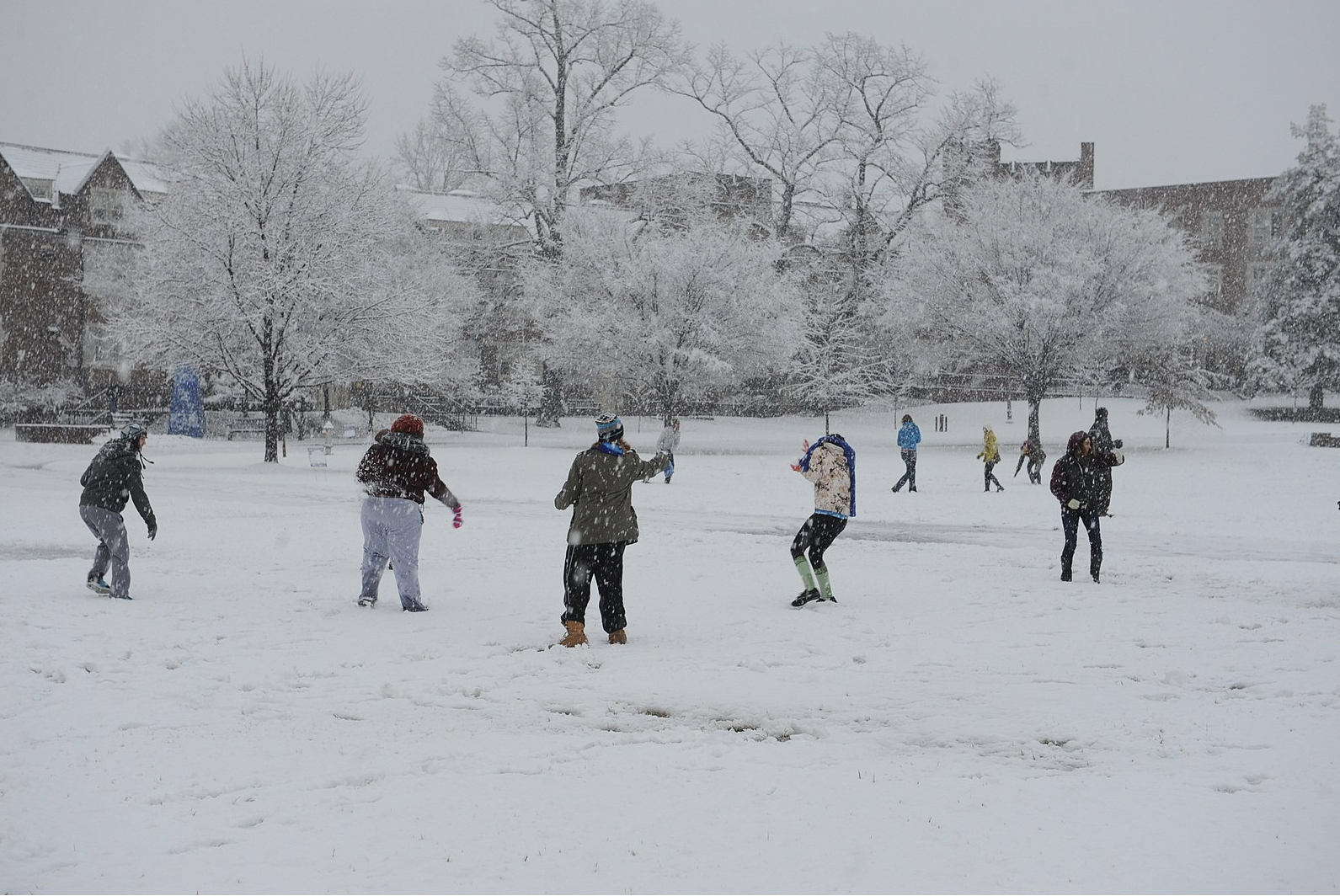 Image 1: Kids enjoying a <i>snow day</i>, 17 Jan. 2013.